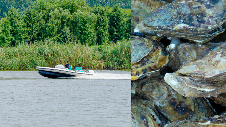 ExploMar WAVE 150+ Oyster Farming